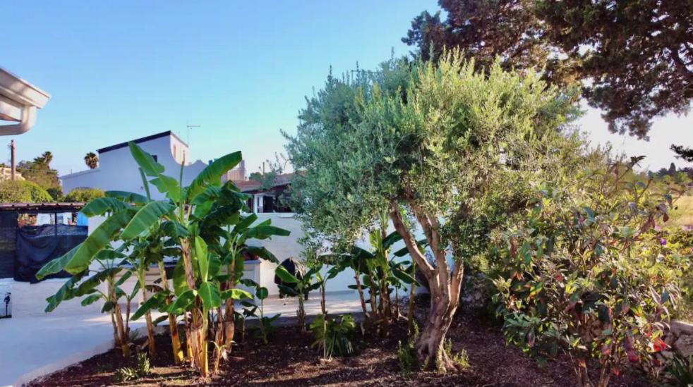 Villa Mare Blue Sr Nuovissima Villa 150M Dal Mare Adatta A Bambini Terrauzza Exterior foto